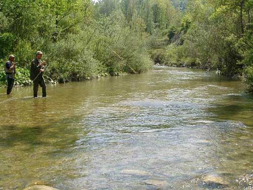 le emozioni del catch and release